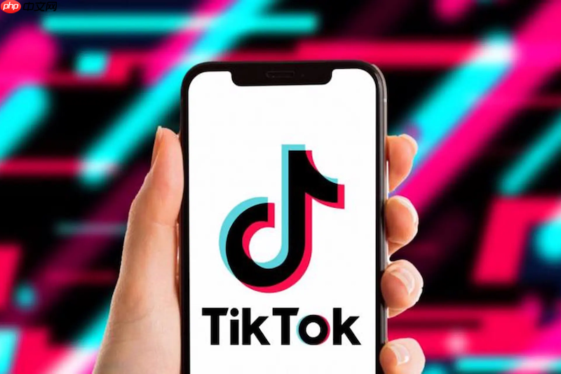 tiktok网页浏览入口 tiktok在线访问地址