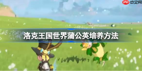 洛克王国世界蒲公英培养方法-洛克王国世界蒲公英怎么培养