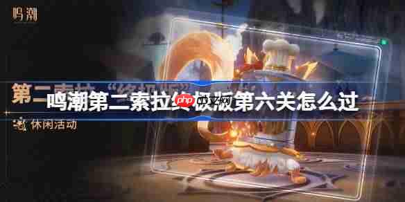 鸣潮第二索拉终极版第六关怎么过-鸣潮第二索拉终极版第六关攻略