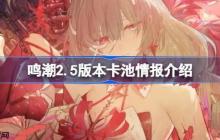 鸣潮2.5版本卡池有哪些情报-鸣潮2.5版本卡池情报介绍