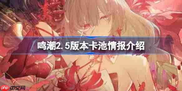 鸣潮2.5版本卡池有哪些情报-鸣潮2.5版本卡池情报介绍