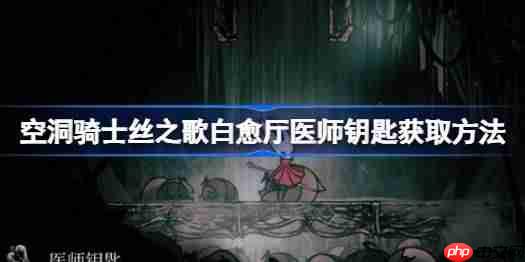 空洞骑士丝之歌白愈厅医师钥匙获取方法-空洞骑士丝之歌白愈厅医师钥匙怎么获取