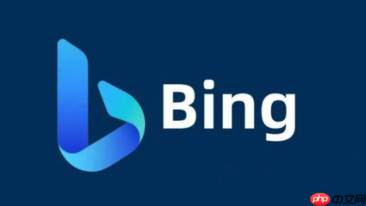 bing搜索最新官方主页网址 bing搜索平台入口直达访问链接