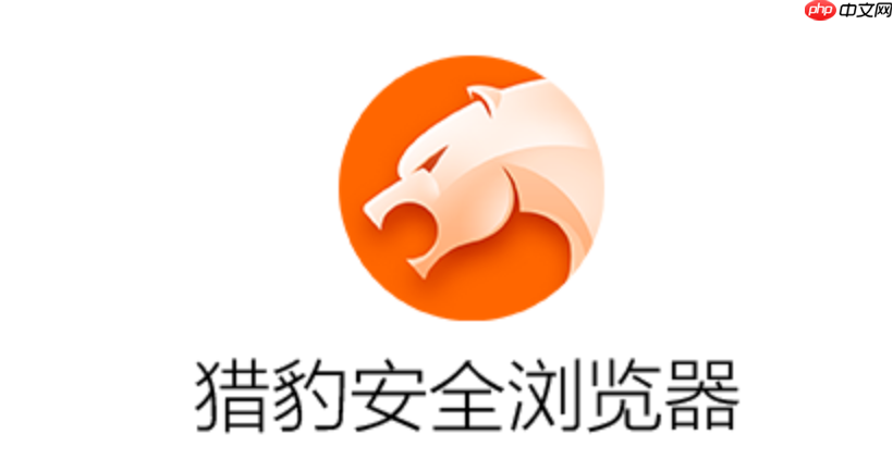 猎豹浏览器官方网站首页链接 猎豹浏览器平台直达访问官方首页