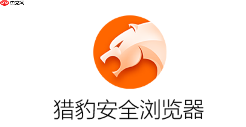 猎豹浏览器官方主页网址入口 猎豹浏览器官网访问链接直达首页