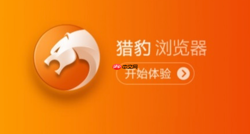 猎豹浏览器最新版官网地址 猎豹浏览器平台入口官方直达链接