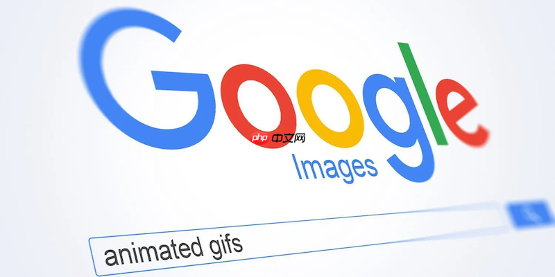 Google搜索在线官网_Google搜索主页网址最新入口