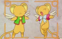 小可搜搜App如何提升搜索速度 小可搜搜App的性能优化设置