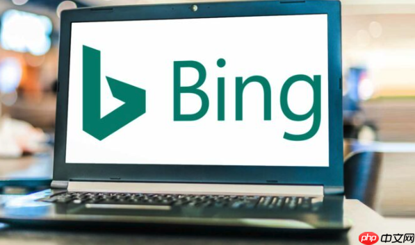 bing搜索官方网站主页入口 bing搜索平台直达网址最新入口