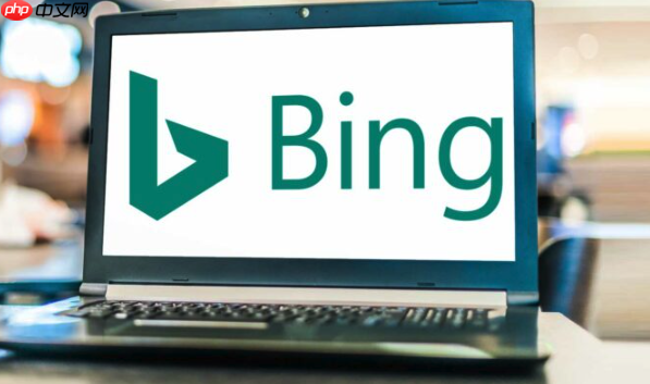 Bing搜索官方网站主页入口 Bing搜索平台直达网址最新入口