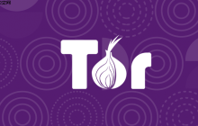 洋葱浏览器如何进行安全搜索_在洋葱浏览器中使用DuckDuckGo等隐私搜索引擎