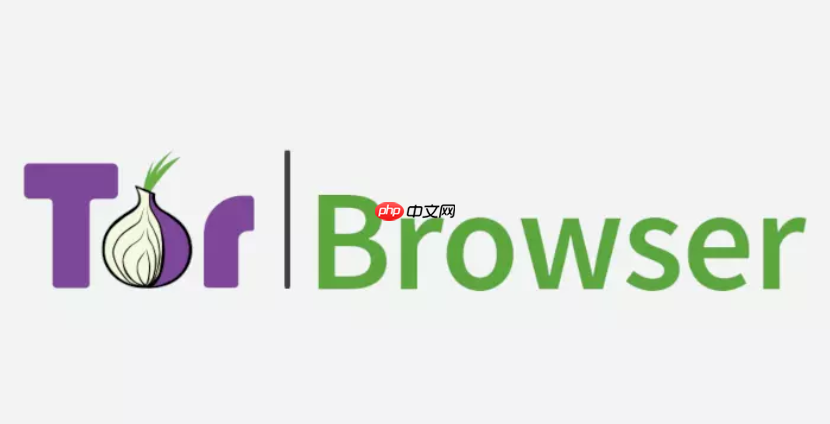 新手如何使用洋葱浏览器上网_洋葱浏览器基础操作入门指南