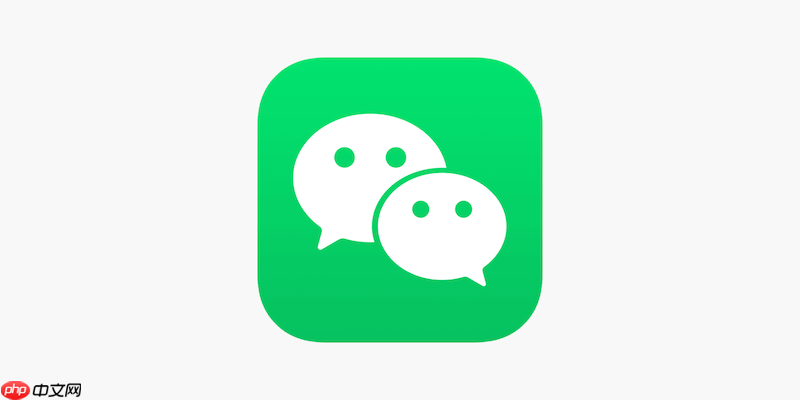 微信如何查看群文件_微信文件查看的下载路径