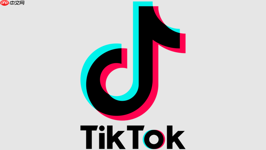 抖音tiktok正版下载地址官网 抖音tiktok官网主页直达链接
