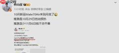 传华为Mate 70 Air新机将启动预热！11月正式开售