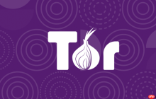 洋葱浏览器如何设置中文界面_洋葱浏览器语言切换与汉化方法详解