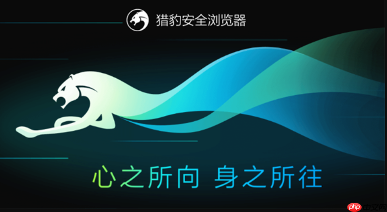 猎豹浏览器官方网站链接地址 猎豹浏览器平台入口快速访问首页