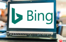 Bing搜索官方访问入口网址 Bing搜索官网直达链接官方首页