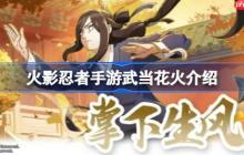 火影忍者手游武当花火技能怎么样-火影忍者手游武当花火介绍