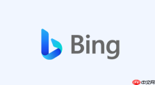 Bing搜索主页官方地址_Bing搜索官网首页网址分享
