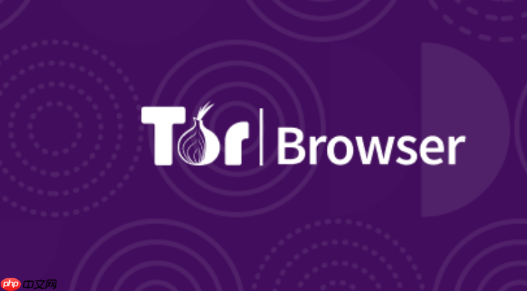 洋葱浏览器安全等级如何调整_详解洋葱浏览器三大安全模式设置