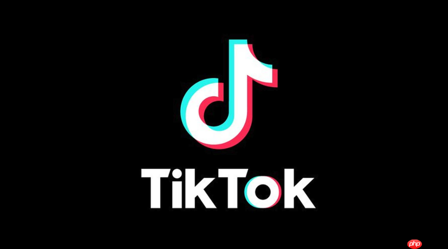 抖音tiktok官方网址官方下载 抖音tiktok官网链接快速访问
