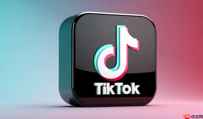 海外版TikTok加速访问_海外版TikTok加速访问在线观看