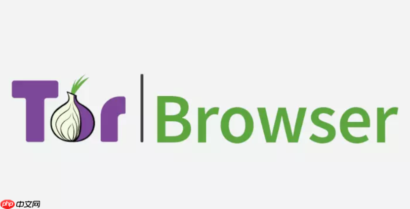 洋葱浏览器和普通浏览器有何不同_洋葱浏览器隐私保护功能对比分析