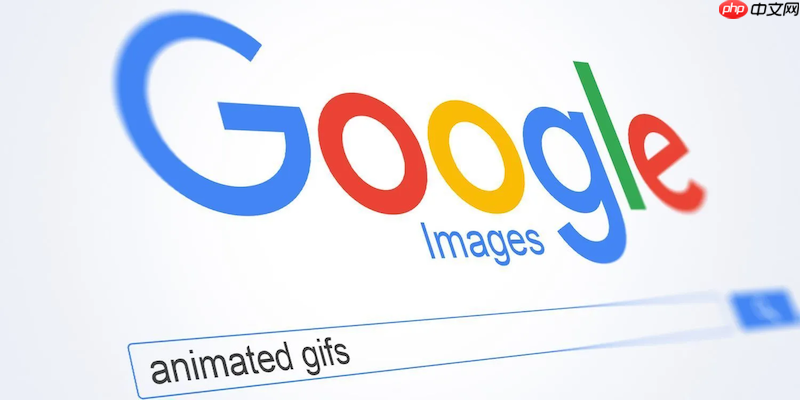 google搜索官网主页_google搜索网页版官方网址分享