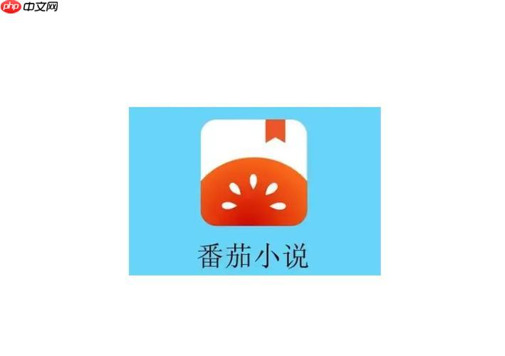 如何利用番茄小说查看阅读统计数据_番茄小说阅读数据查看教程