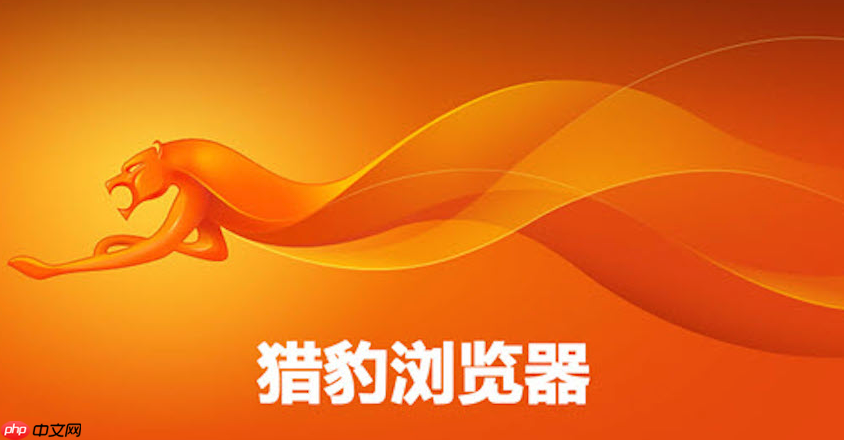 猎豹浏览器官方下载网址入口 猎豹浏览器官网直达主页官方链接