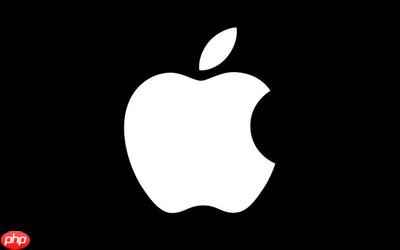 苹果2025第四财季打破12项纪录！营收超千亿美元