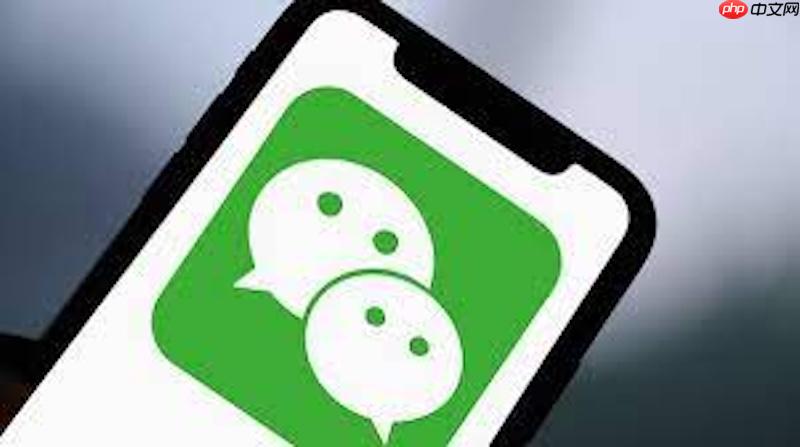 微信如何设置隐私保护_微信隐私设置的优化方法