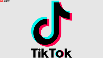 TikTok国际版官网链接_TikTok国际版官网链接进入在线观看