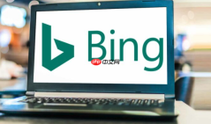 bing搜索最新版官网入口地址 bing搜索平台链接官方直达首页