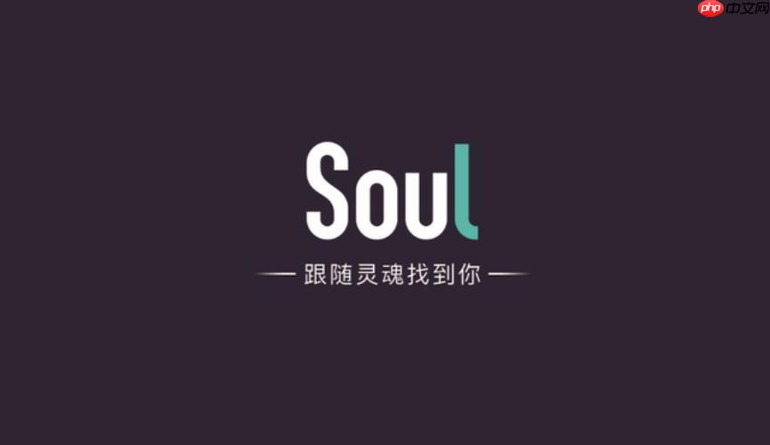 Soul清理缓存垃圾文件_Soul清理缓存释放空间方法
