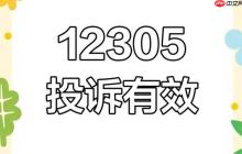 12305官方网站入口链接_12305投诉平台在线登录