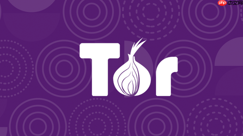 洋葱浏览器与其他tor客户端的区别_为什么官方推荐使用洋葱浏览器套件
