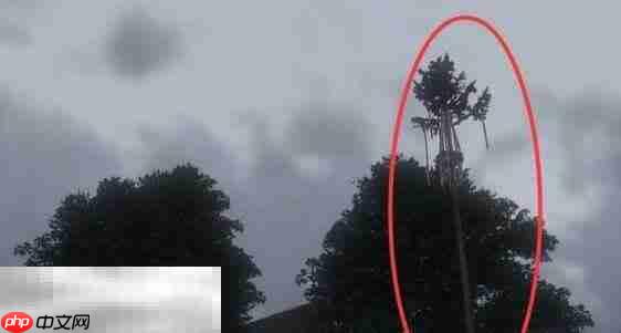 天国拯救2特罗斯基的恶魔支线任务怎么完成 特罗斯基的恶魔支线