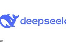 DeepSeekOCR怎么设置识别结果格式_JSONTXT等识别结果格式配置方法