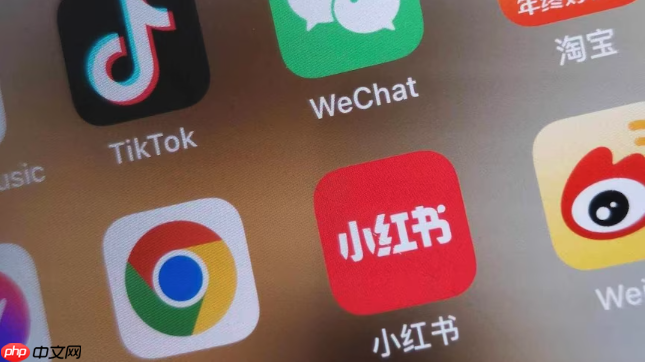 小红书如何利用话题引流_小红书话题引流的运营方法解析