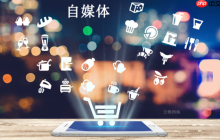 B站UP主如何提升视频播放量_B站视频播放量提升方法与运营干货