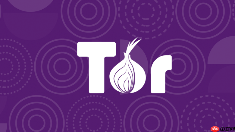 如何解决洋葱浏览器字体显示问题_洋葱浏览器中文字体模糊或乱码修复方法