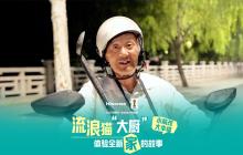 小局改大幸福：海信空调为上海宛爷爷和猫咪改造冬日暖屋