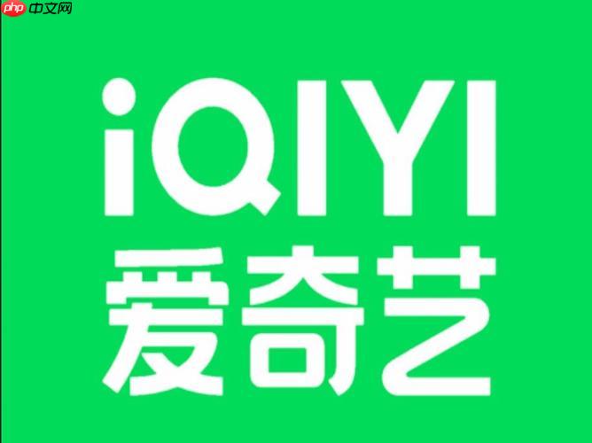 爱奇艺字幕同步怎么调整_爱奇艺字幕延迟与同步设置方法与技巧