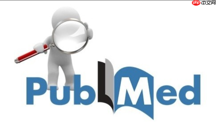 pubmed官网怎么设置搜索结果语言偏好_pubmed官网文献语言筛选与显示偏好设置方法