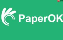 paperok查重官网入口在哪里 paperok查重官方网站直达首页
