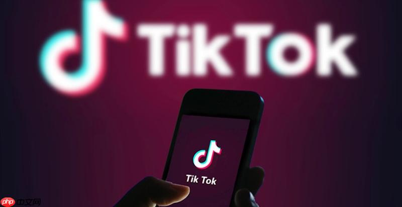 tiktok国际版在线入口 抖音海外版官网直达通道