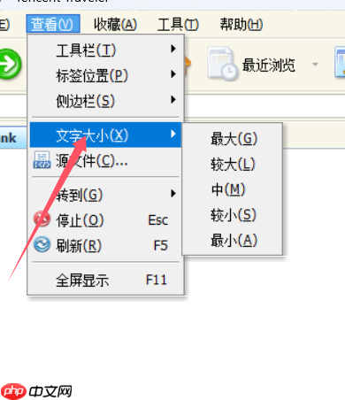 tt浏览器怎么变大字?tt浏览器变大字的步骤