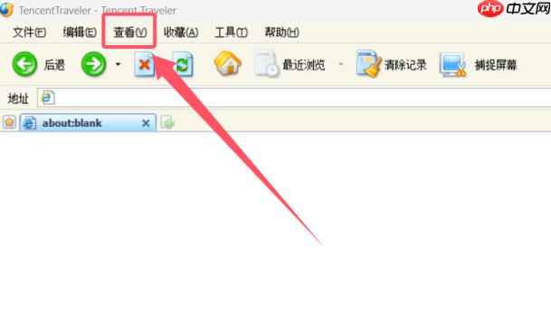 tt浏览器怎么变大字?tt浏览器变大字的步骤